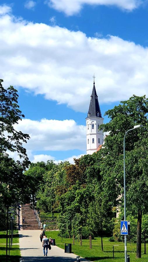 Apartment Next To Cathedral Of Saints Peter & Paul Šiauliai Dış mekan fotoğraf
