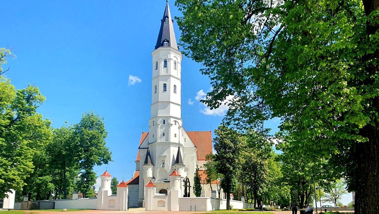 Apartment Next To Cathedral Of Saints Peter & Paul Šiauliai Dış mekan fotoğraf
